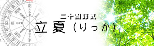 20220505_rikka_02.jpg