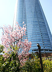 100412_2.jpg
