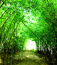 100413_2.jpg