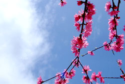 100507_1.jpg