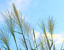 100901_1.jpg