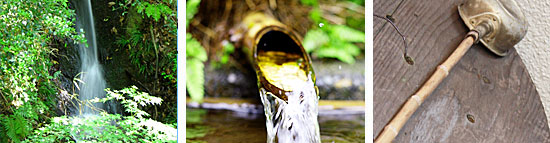 100909_4.jpg