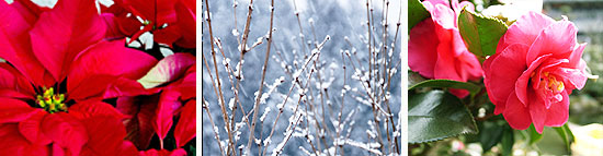 101201_5.jpg