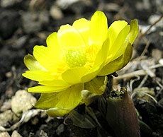 110201_2.jpg