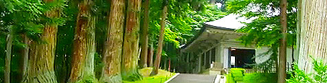 110705_3.jpg