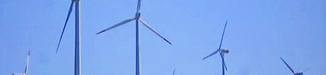 110725_5.jpg
