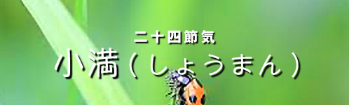 20220521_shoman_02.jpg
