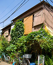 100817_2.jpg