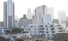 110205_1.jpg