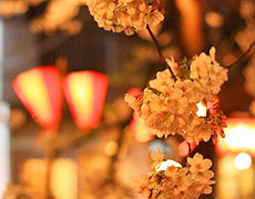 110402_5.jpg