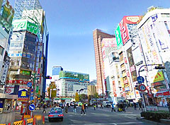 111019_1.jpg