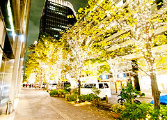 111208_1.jpg