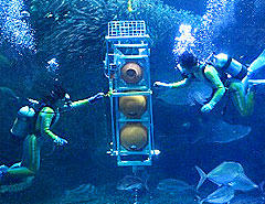 130809_1.jpg