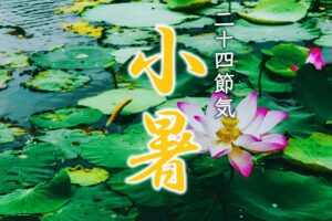◆二十四節気◆令和6年（2024）7月6日「小暑（しょうしょ）」です。◆