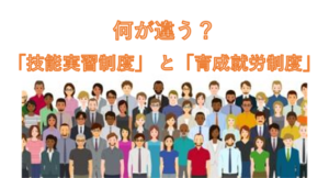 何が違う？育成就労制度と技能実習制度